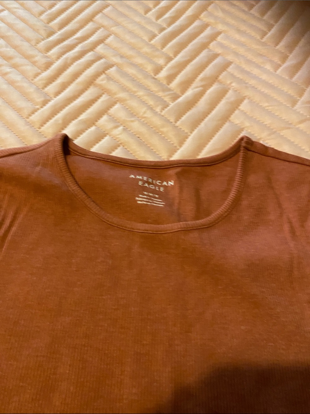 American Eagle Outfitters Women's Scoop Neck Tee in Rust Brown